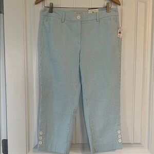Talbots Skimmer Pants Size 4P